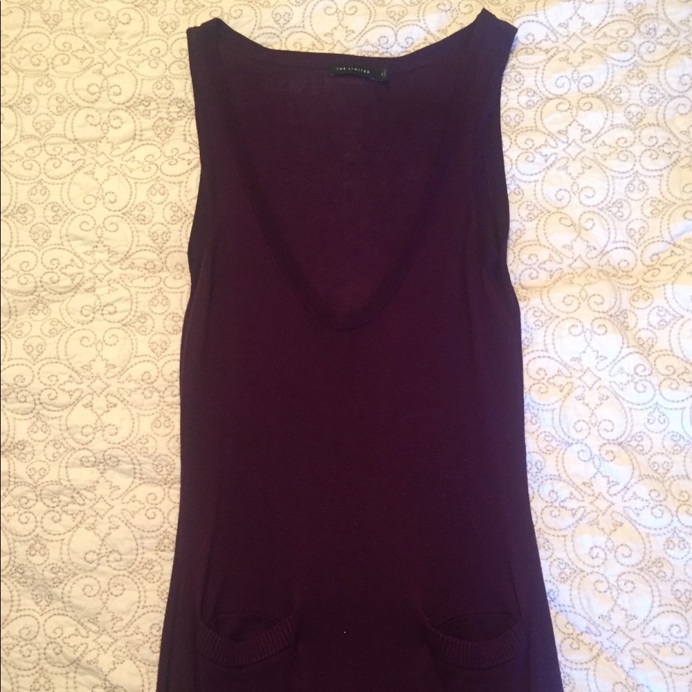 The Limited purple sweater vest